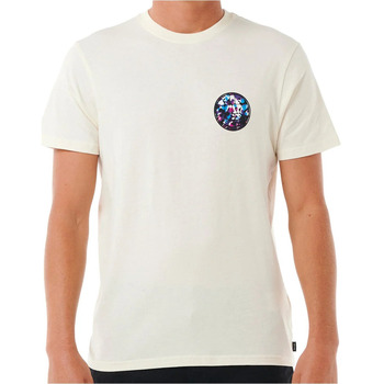 Vêtements Homme Polos manches courtes Rip Curl PASSAGE TEE Multicolore