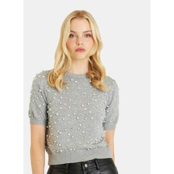 Vêtements Femme Pulls ALMA EN PENA I24CL409 Gris