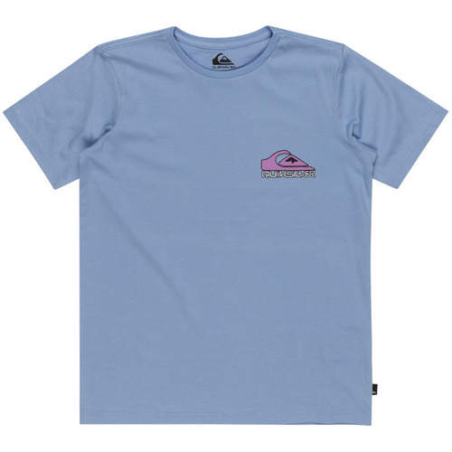 Vêtements Garçon Débardeurs / T-shirts sans manche Quiksilver Take Us Back Violet