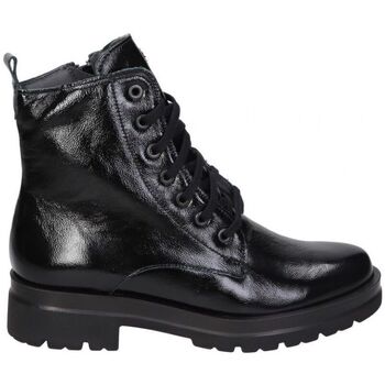 Chaussures Femme Bottines Pitillos 10099 Noir