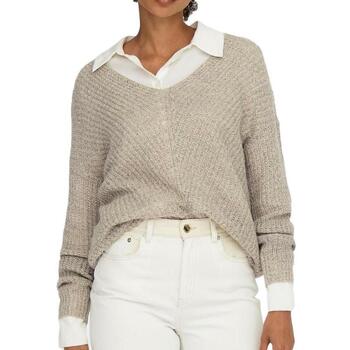 Vêtements Femme Pulls JDY 15208245 Gris