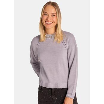 Vêtements Femme Pulls ALMA EN PENA I24CL1019 Violet