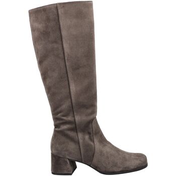 Chaussures Femme Bottes ville Högl Bottes Gris