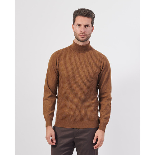 Vêtements Homme Pulls Yes Zee Pull à col roulé  en laine mélangée Marron