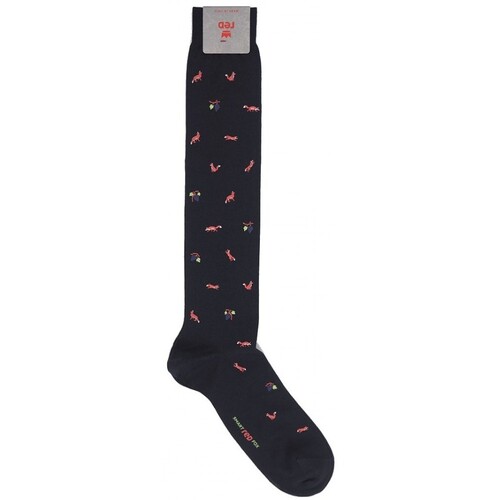 Accessoires Homme Chaussettes hautes Red Sox Chaussettes longues homme imprim renard et raisin Bleu