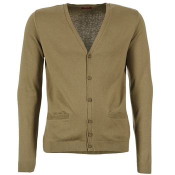 Vêtements Homme Gilets / Cardigans BOTD EFLOVA Taupe