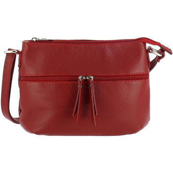 Sacs Femme Sacs Dupond Durand BRAHMA petit sac bandoulière en cuir Rouge