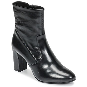 Chaussures Femme Bottines Steve Madden AVENUE Noir