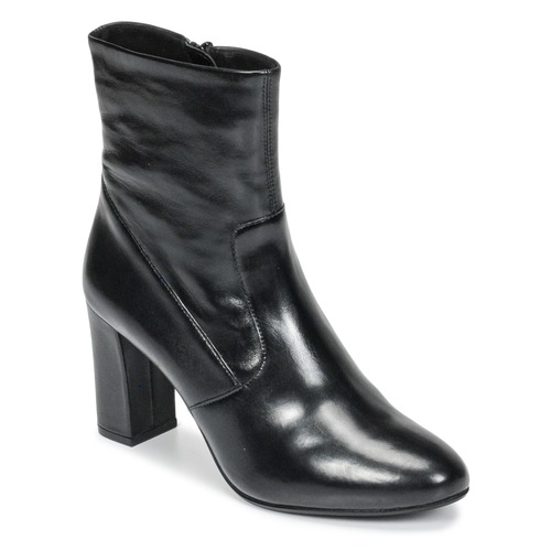 Chaussures Femme Bottines Steve Madden AVENUE Noir