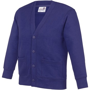 Vêtements Enfant Gilets / Cardigans Awdis Academy Violet