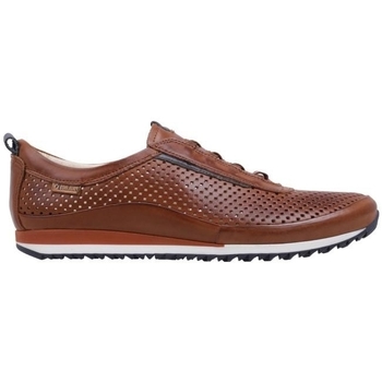 Schuhe Herren Derby-Schuhe & Richelieu Pikolinos LIVERPOOL M2A-6252 Braun