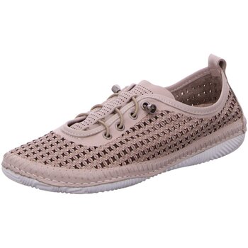 Schuhe Damen Derby-Schuhe & Richelieu Scandi Schnuerschuhe 820-0098-K1 Beige