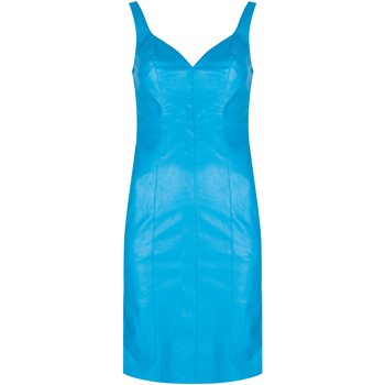 Kleidung Damen Kurze Kleider Pinko 1G160W 7105 | Pudico Abito Blau