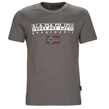 Kleidung Herren T-Shirts Napapijri AYAS Grau