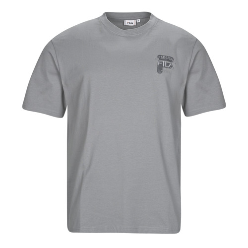 Kleidung Herren T-Shirts Fila BROVO OVERSIZED TEE Grau