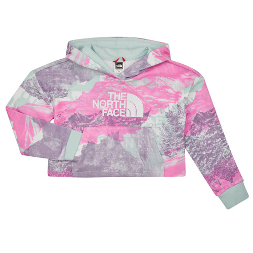 Kleidung Mädchen Sweatshirts The North Face Girls Drew Peak Light Hoodie Multicolor