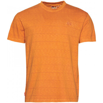 Kleidung Herren T-Shirts & Poloshirts Superdry Vintage texture Orange