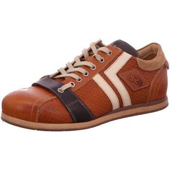 Schuhe Herren Derby-Schuhe & Richelieu Kamo-Gutsu Schnuerschuhe TIFO-030 SIENA Braun