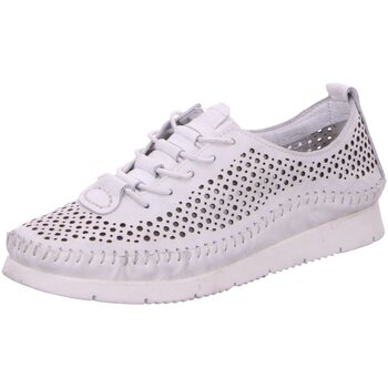 Schuhe Damen Derby-Schuhe & Richelieu Scandi Schnuerschuhe 820-0152-L1 Weiss