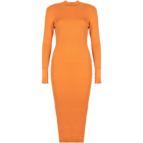 Kleidung Damen Kurze Kleider Silvian Heach PGA22208VE Orange