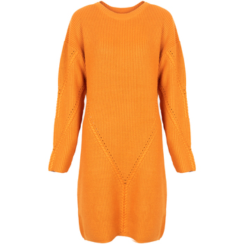 Kleidung Damen Kurze Kleider Silvian Heach PGA22285VE Orange