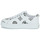 Schuhe Damen Sneaker Low Guess GIANELE 4 Weiss / Schwarz