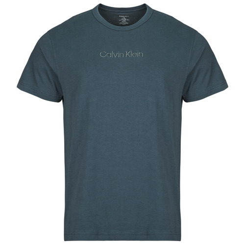 Kleidung Herren T-Shirts Calvin Klein Jeans S/S CREW NECK Blau