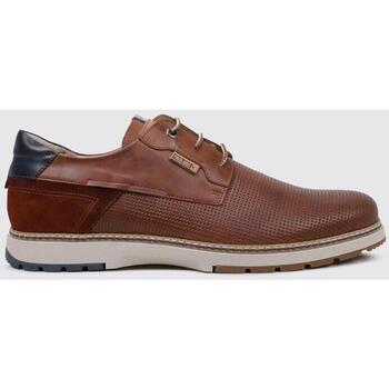 Schuhe Herren Derby-Schuhe & Richelieu Pikolinos OLVERA M8A-4222C1 Braun