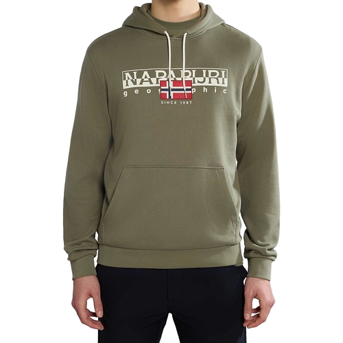 Kleidung Herren Sweatshirts Napapijri 236366 Grün