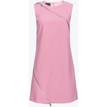 Kleidung Damen Kleider Pinko LACANAU 103868 A20A-O78 Rosa