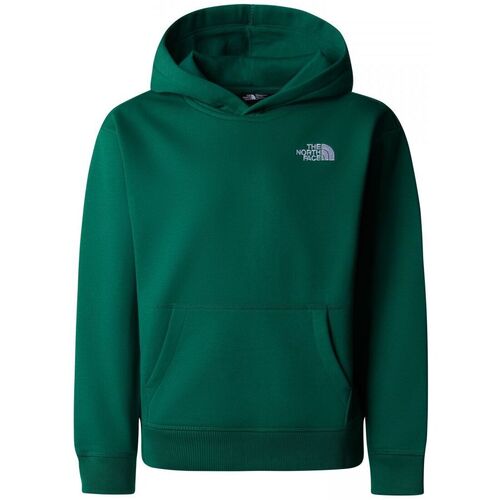 Kleidung Kinder Sweatshirts The North Face NF0A89HA - TEEN ESS OVERSSZ HD-NL11 EVERGREEN Grün