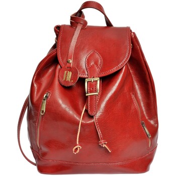 Taschen Damen Rucksäcke Anna Luchini Backpack Rot