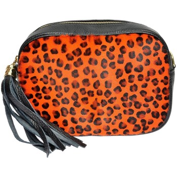 Taschen Damen Umhängetaschen Anna Luchini Crossbody bag Orange