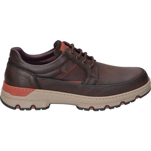 Schuhe Herren Derby-Schuhe & Richelieu Fluchos F1843 Braun