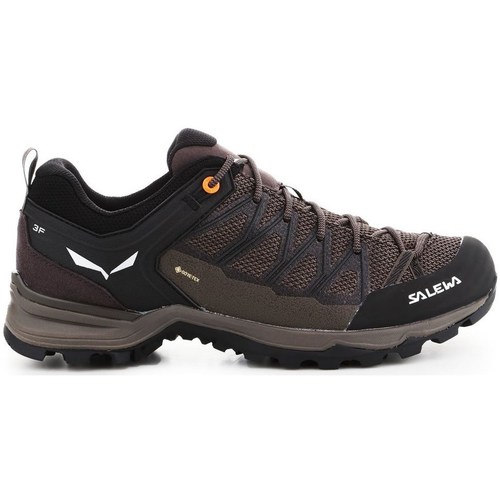 Sko Herre Vandresko Salewa Mtn Trainer Lite Gtx Sort, Brun