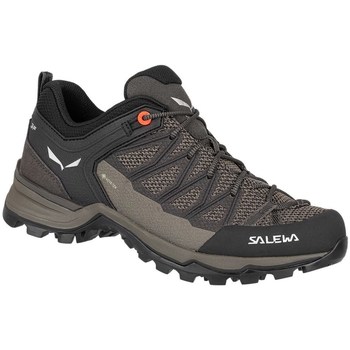 Sko Dame Vandresko Salewa Mtn Trainer Lite Gtx Brun