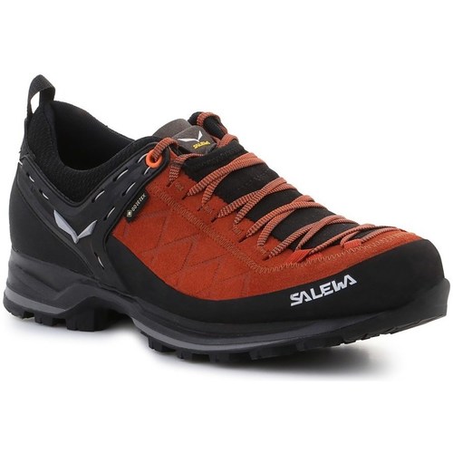 Sko Herre Vandresko Salewa MS Mtn Trainer 2 Gtx Sort, Brun