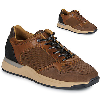 Sko Herre Lave sneakers Bullboxer  Brun