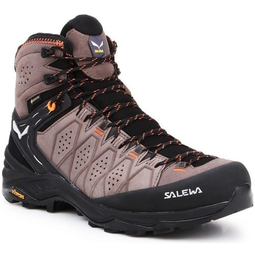 Sko Herre Vandresko Salewa MS Alp Trainer 2 Mid Gtx Beige