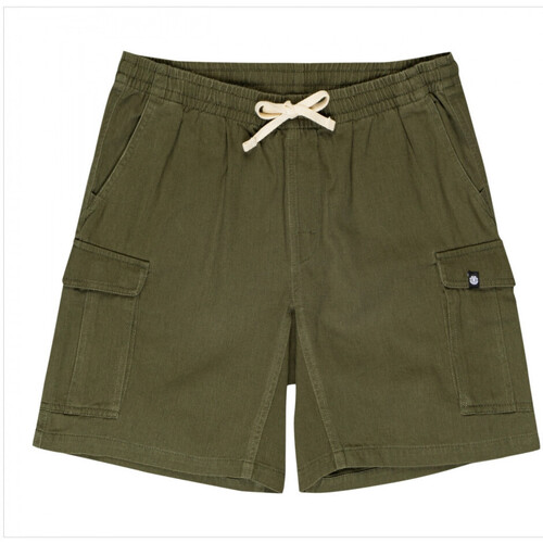 textil Herre Shorts Element Utility wkst Grøn