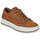 Sko Herre Lave sneakers Timberland MAPLE GROVE Brun