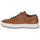 Sko Herre Lave sneakers Timberland MAPLE GROVE Brun