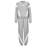 textil Dame Træningsdragter Adidas Sportswear Laziday Track Suit Grå