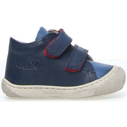 Zapatos Niño Deportivas Moda Naturino COCOON VL Azul