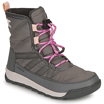 Zapatos Niña Botas de nieve Sorel YOUTH WHITNEY II SHORT LACE WP Gris / Rosa