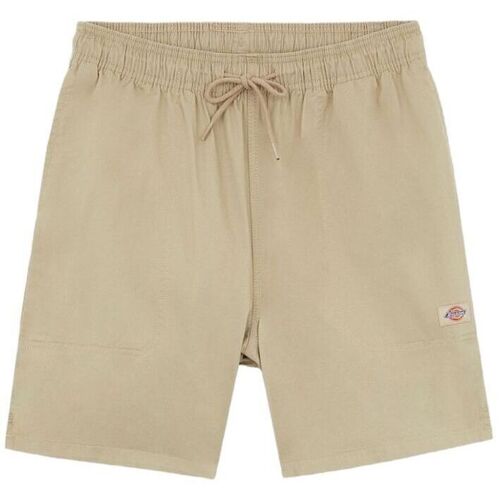 textil Hombre Shorts / Bermudas Dickies Pantalones cortos Pelican Rapids Hombre Desert Sand Beige