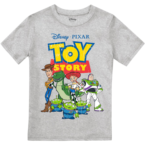 textil Niño Camisetas manga larga Toy Story TV2445 Gris