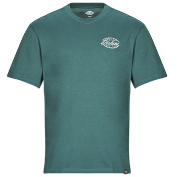 textil Hombre Camisetas manga corta Dickies DICKIES GLOBE TEE SS Verde