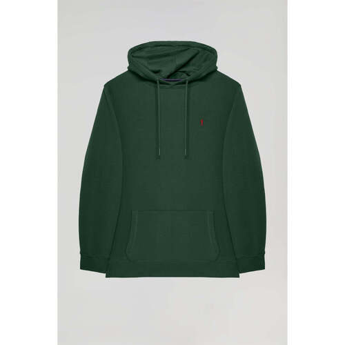 textil Hombre Sudaderas Polo Club RIGBY GO HOODIE SWEAT B FL IL Verde