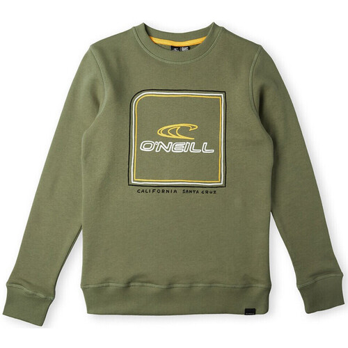 textil Niño Sudaderas O'neill  Verde